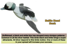 FLBH Bufflehead 3D Flappers Duck Decoy