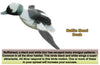 FLBH Bufflehead 3D Flappers Duck Decoy